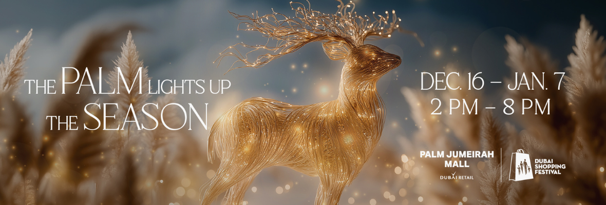 Light Up the Palm This Festive Season: Your Complete Guide