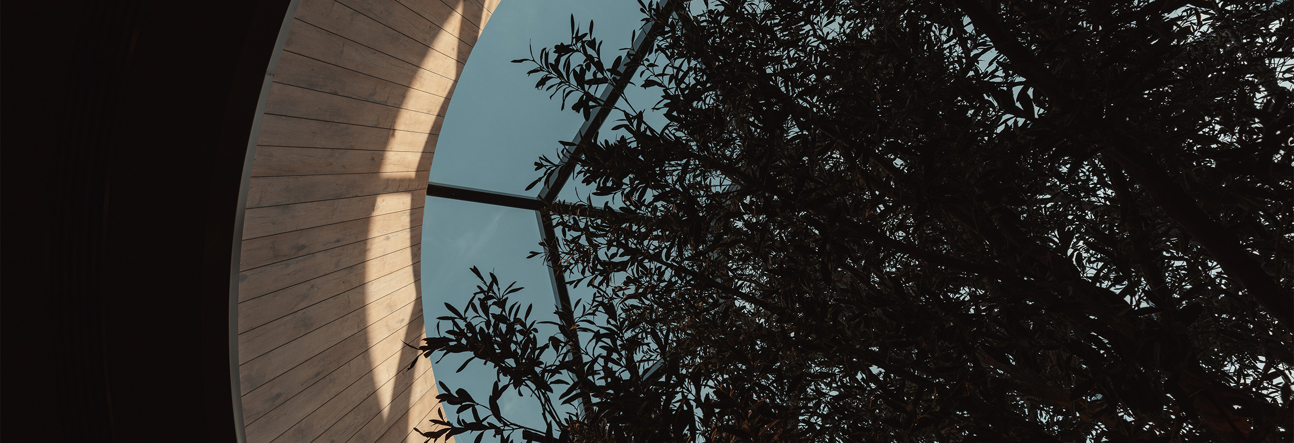 blog-d