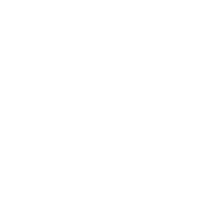 Dubai-Retail_The-Outlet-Village-EN-LOGO