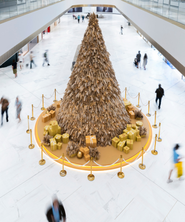 Palm-Festive-press-release